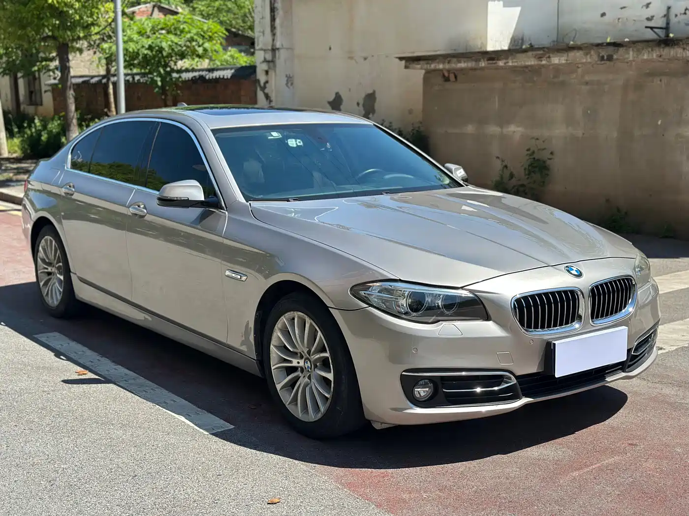 BMW 5 Series 2017 525Li Luxury Design Package фото 3