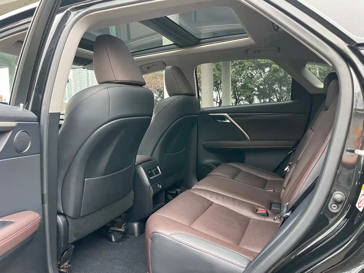 Lexus RX 2016 300 4WD Elegance Edition (China V) фото 16