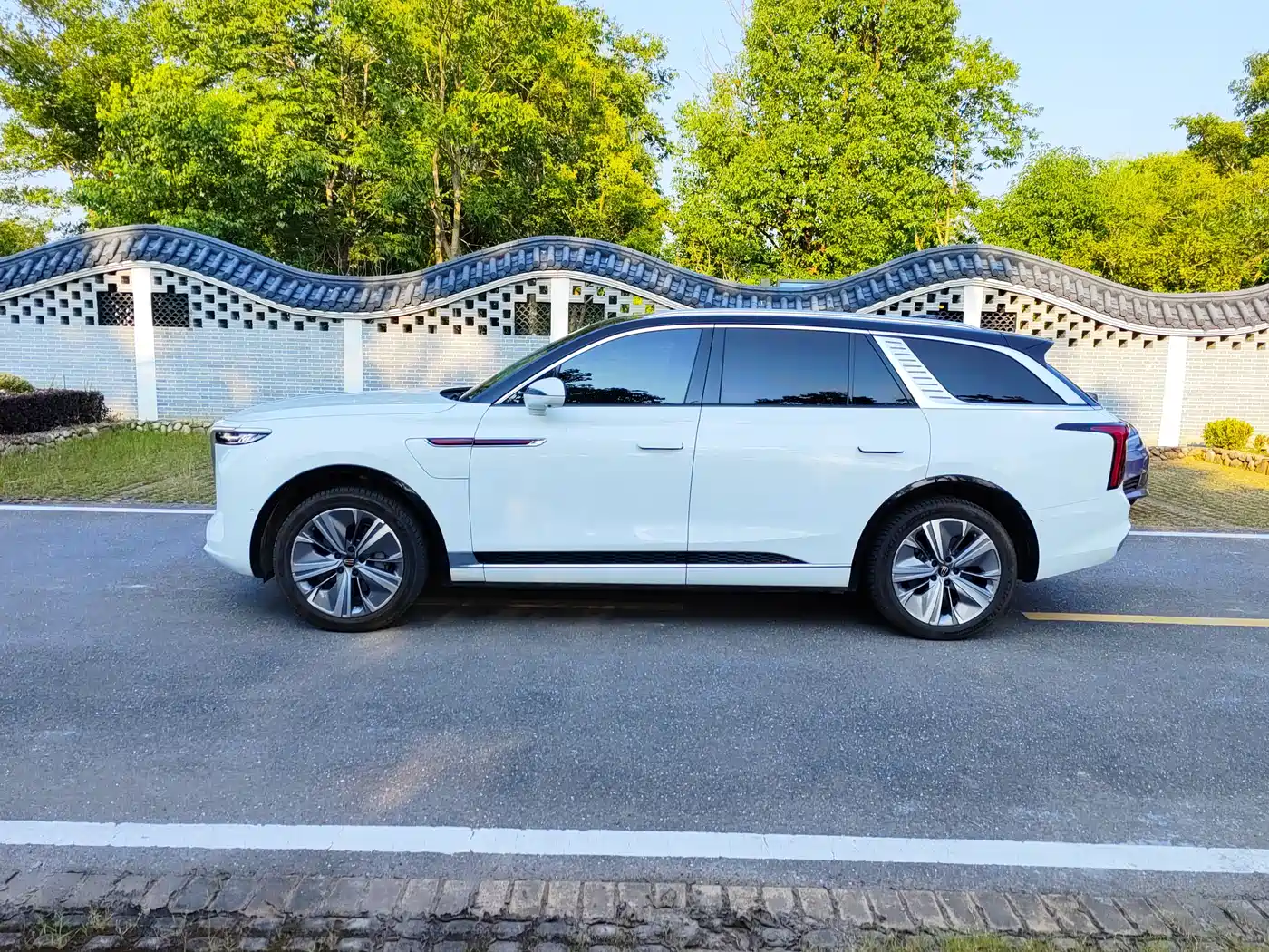 Hongqi E-HS9 2021 460km Flagship Comfort 6-seater фото 5