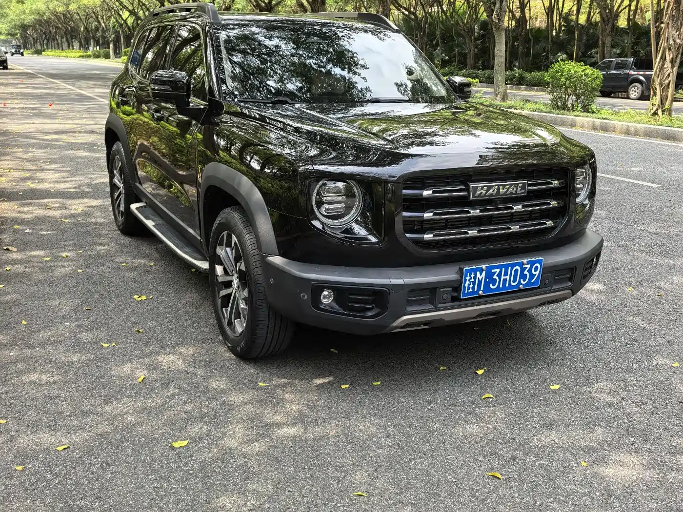 Haval Big Dog 2021 1.5T DCT 2WD Border Collie - Wangcai Edition фото 8