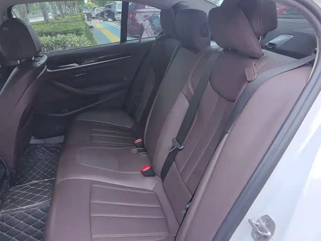 BMW 5 Series 2020 525Li Luxury Package фото 17