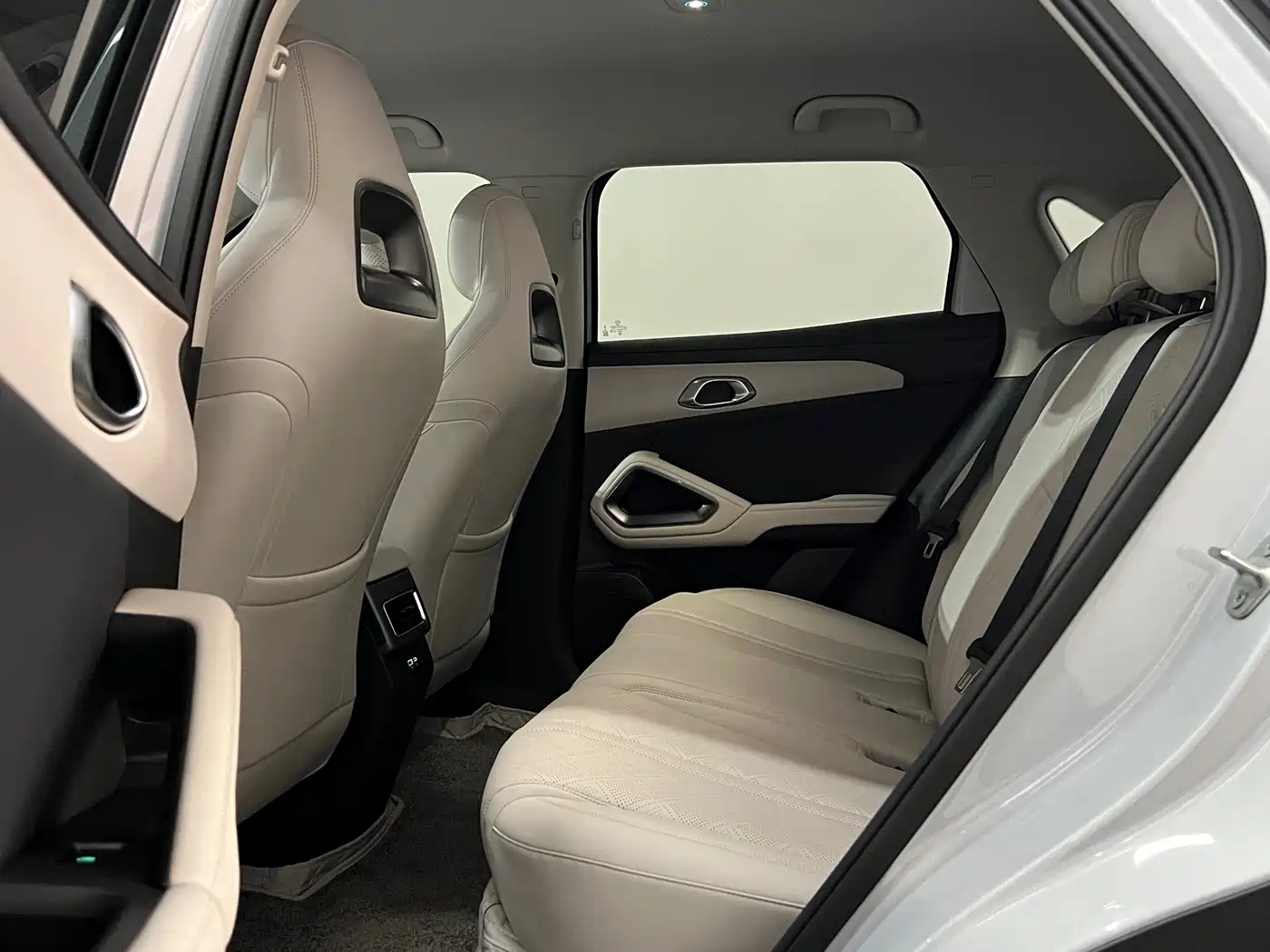 BYD Yuan UP 2026 2025 Model 301KM Navigator