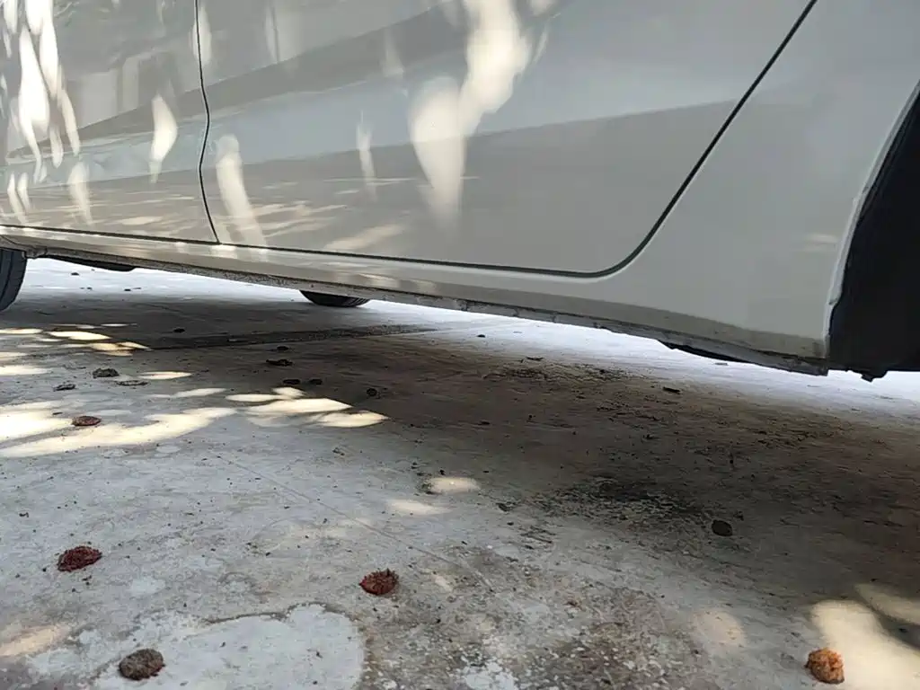 Photo 22 - Baojun 730