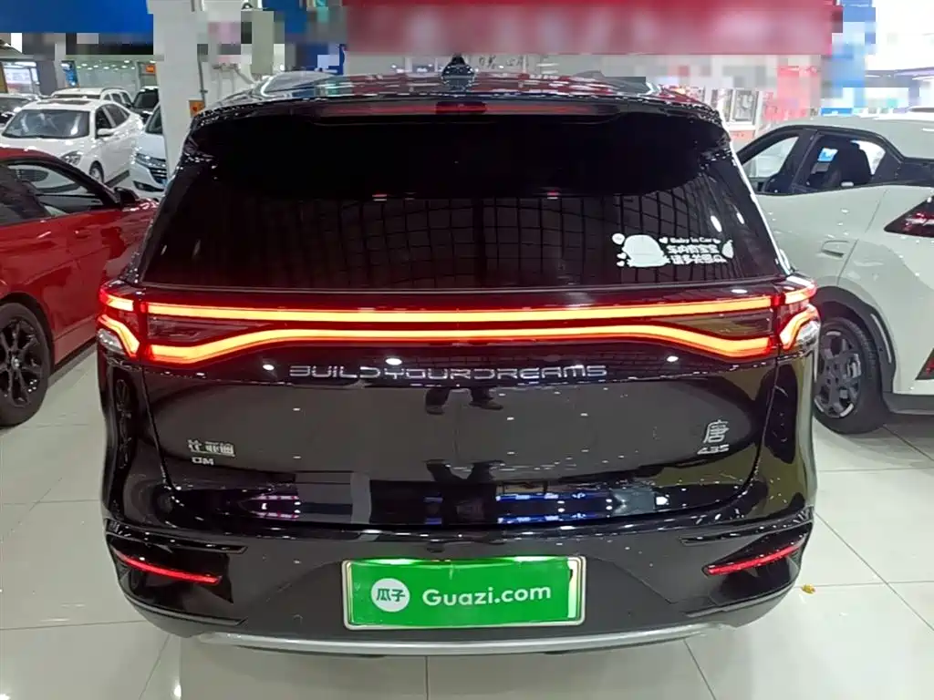 BYD Tang New Energy 2021 DM 2.0T AWD High Performance Premium фото 6