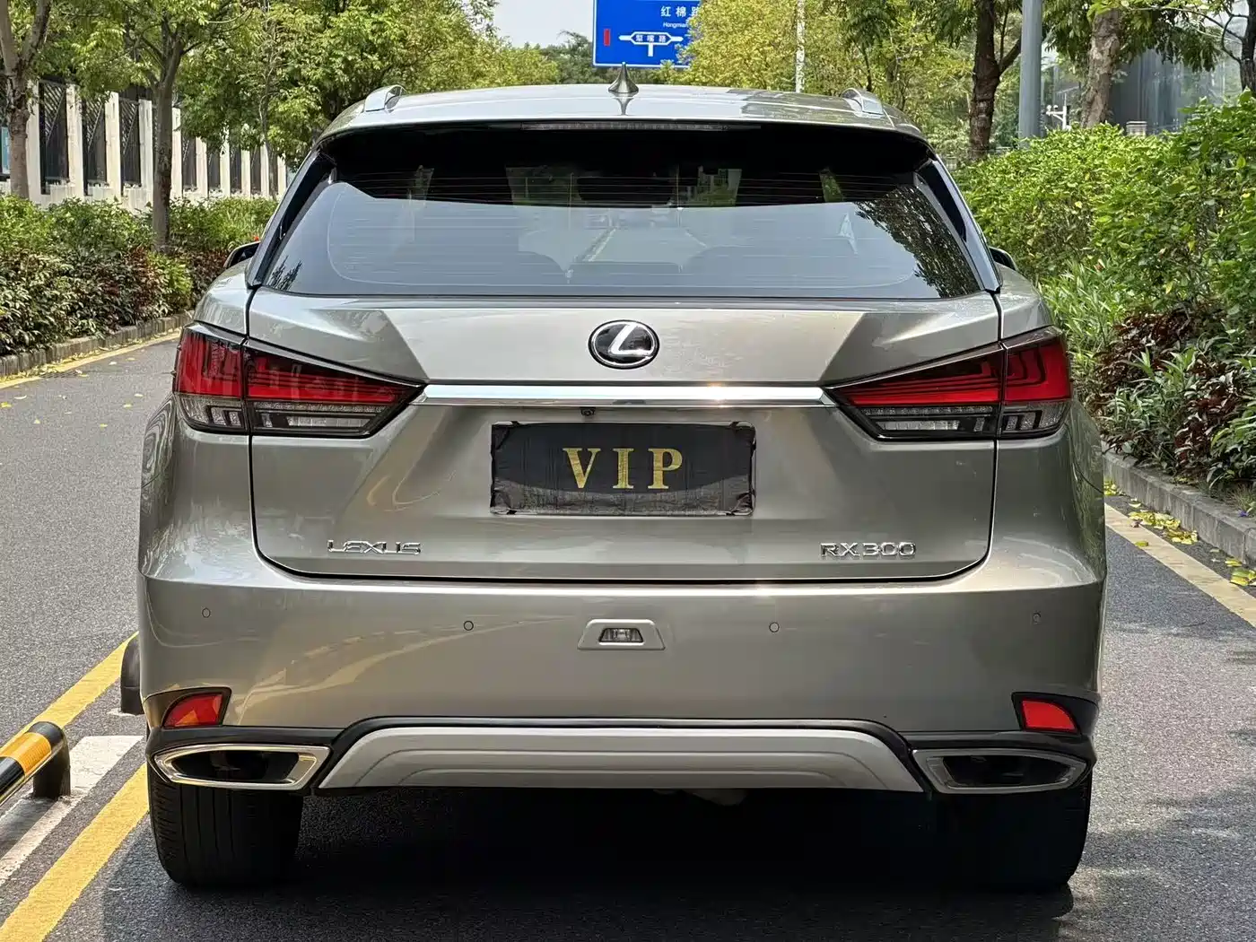 LEXUS RX