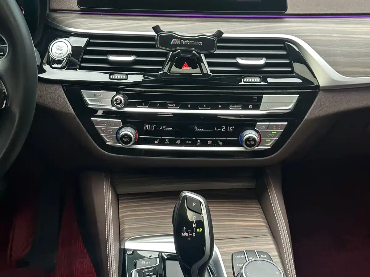 BMW 5 Series 2020 530Li Leading Luxury Package фото 16