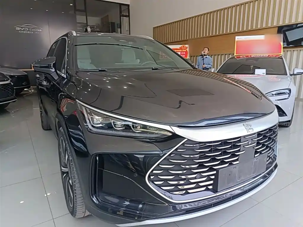 BYD Tang New Energy 2022 DM-p 215KM AWD Flagship фото 4