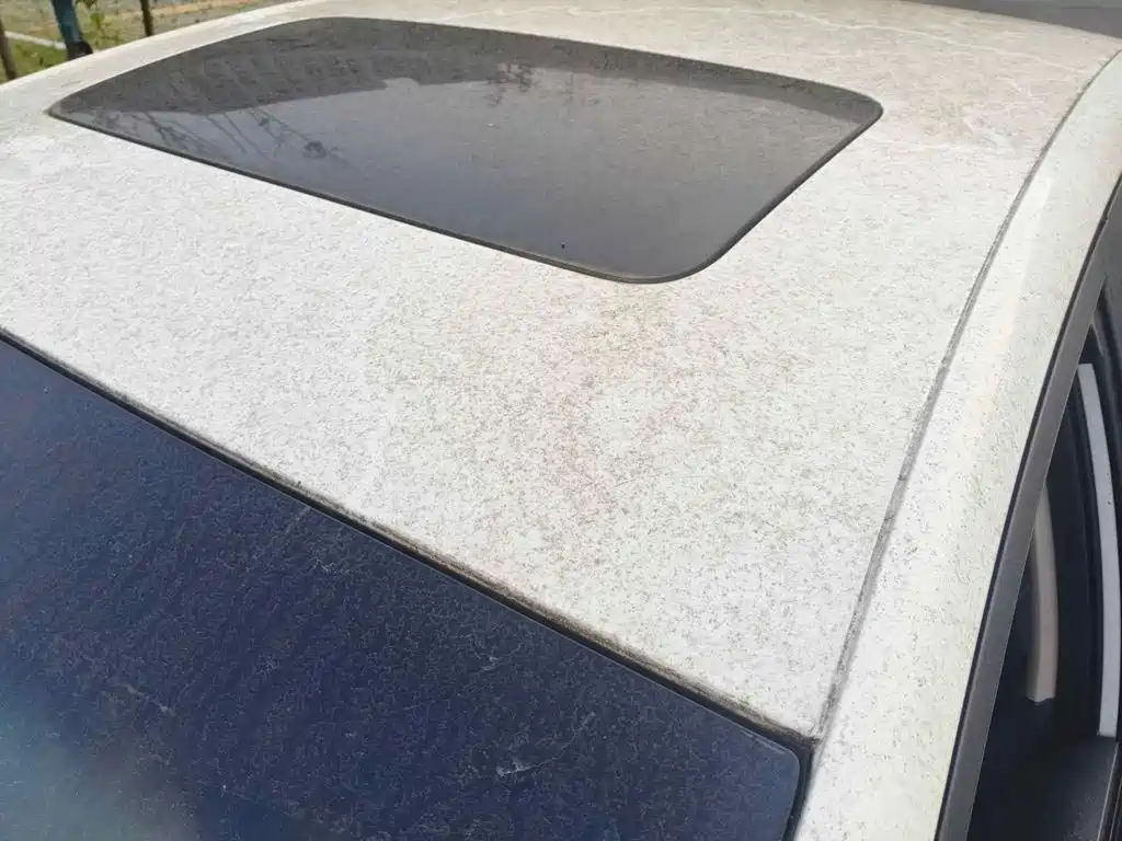 Фото 6 - Buick Excelle
