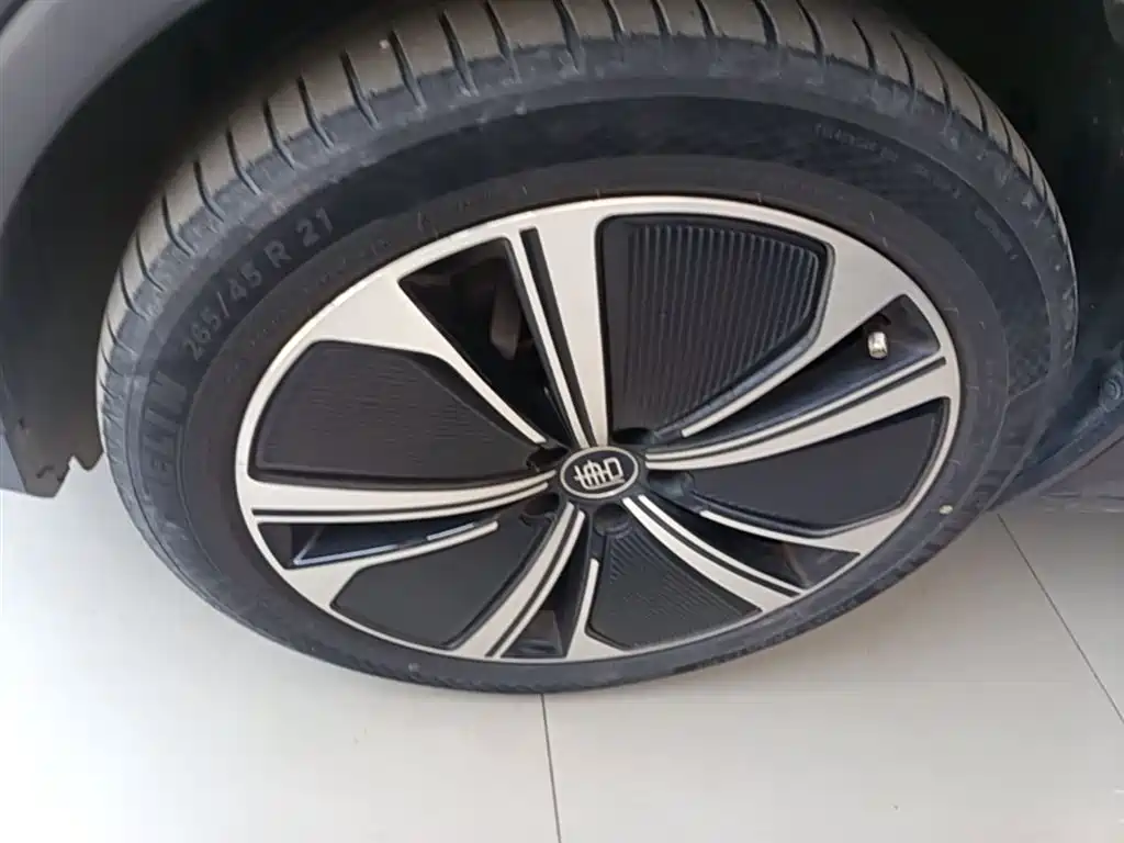 BYD Tang New Energy 2022 DM-p 215KM AWD Flagship фото 23