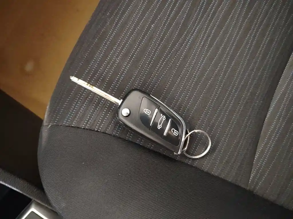 صورة 9 - Hyundai Reina