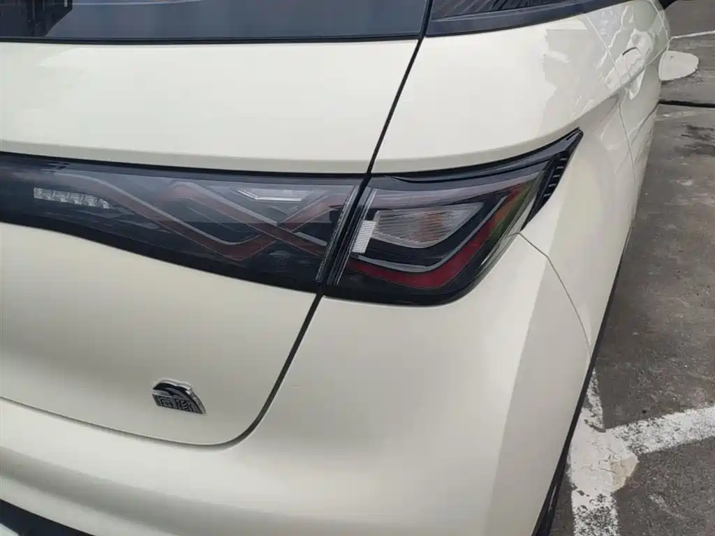 BYD Dolphin 2021 Model 405km Fashion Edition фото 8