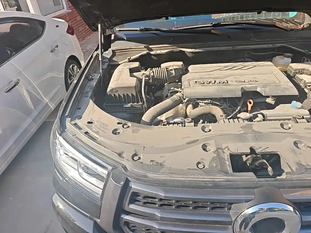 Great Wall Pao 2025 2024 Model 2.4T Passenger Version Automatic Diesel 4WD Comfort Type