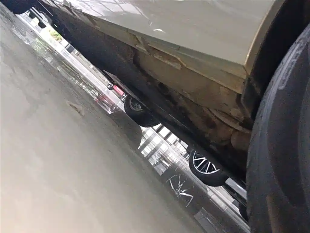Volkswagen Magotan 2019 330TSI DSG Leading China V фото 22