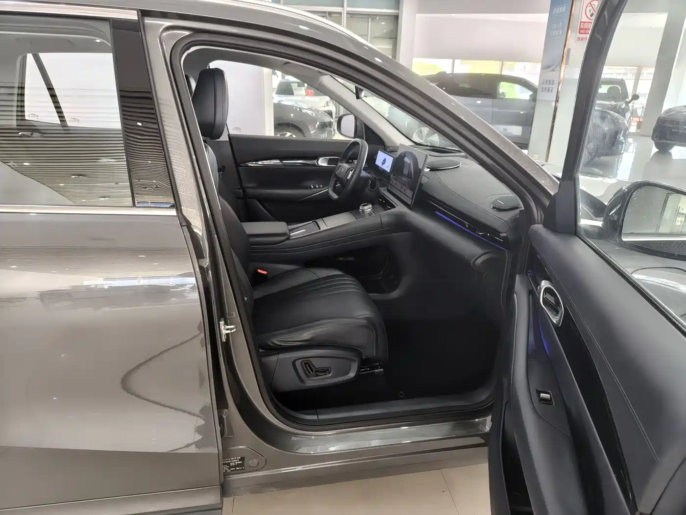 Geely Galaxy Galaxy E5 2024 530km Starship Edition фото 4