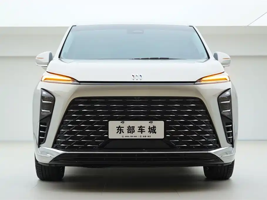 BUICK GL8 NEW ENERGY