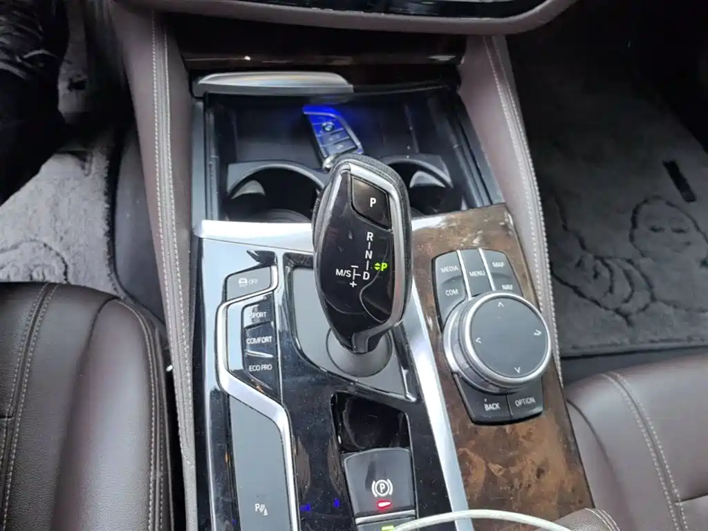BMW 5 Series 2020 525Li Luxury Package фото 14