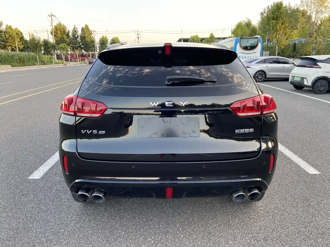 WEY VV5 2017 2017 2.0T Flagship Model