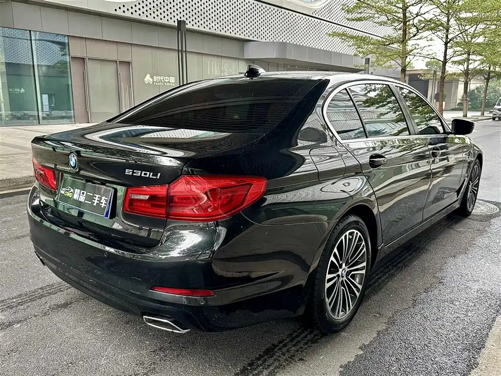 BMW 5 Series 2018 528Li Launch Special Edition фото 6