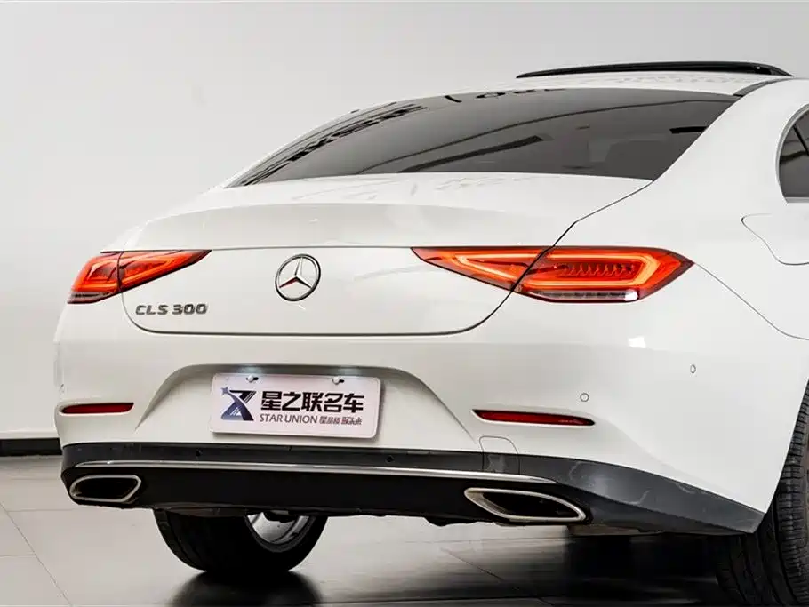 Mercedes-Benz CLS 2018 CLS 300 Dynamic фото 8