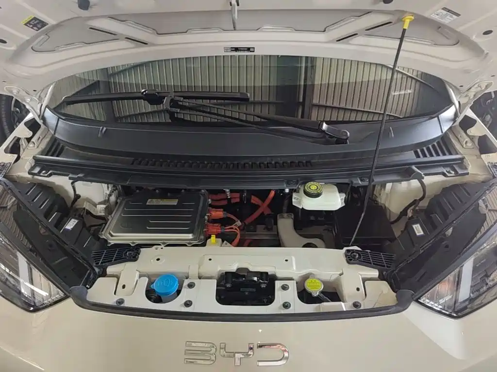 BYD Seagull 2026 2025 Smart Drive Edition 305km Vitality Version