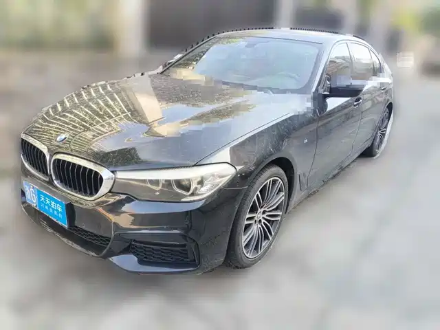 BMW 5 Series 2019 530Li Leading M Sport Package — фото 1