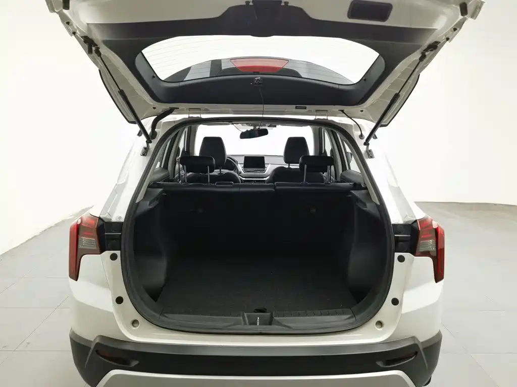 Venucia T60 2019 2020 Model 1.6L Manual Zhiguan Edition China VI