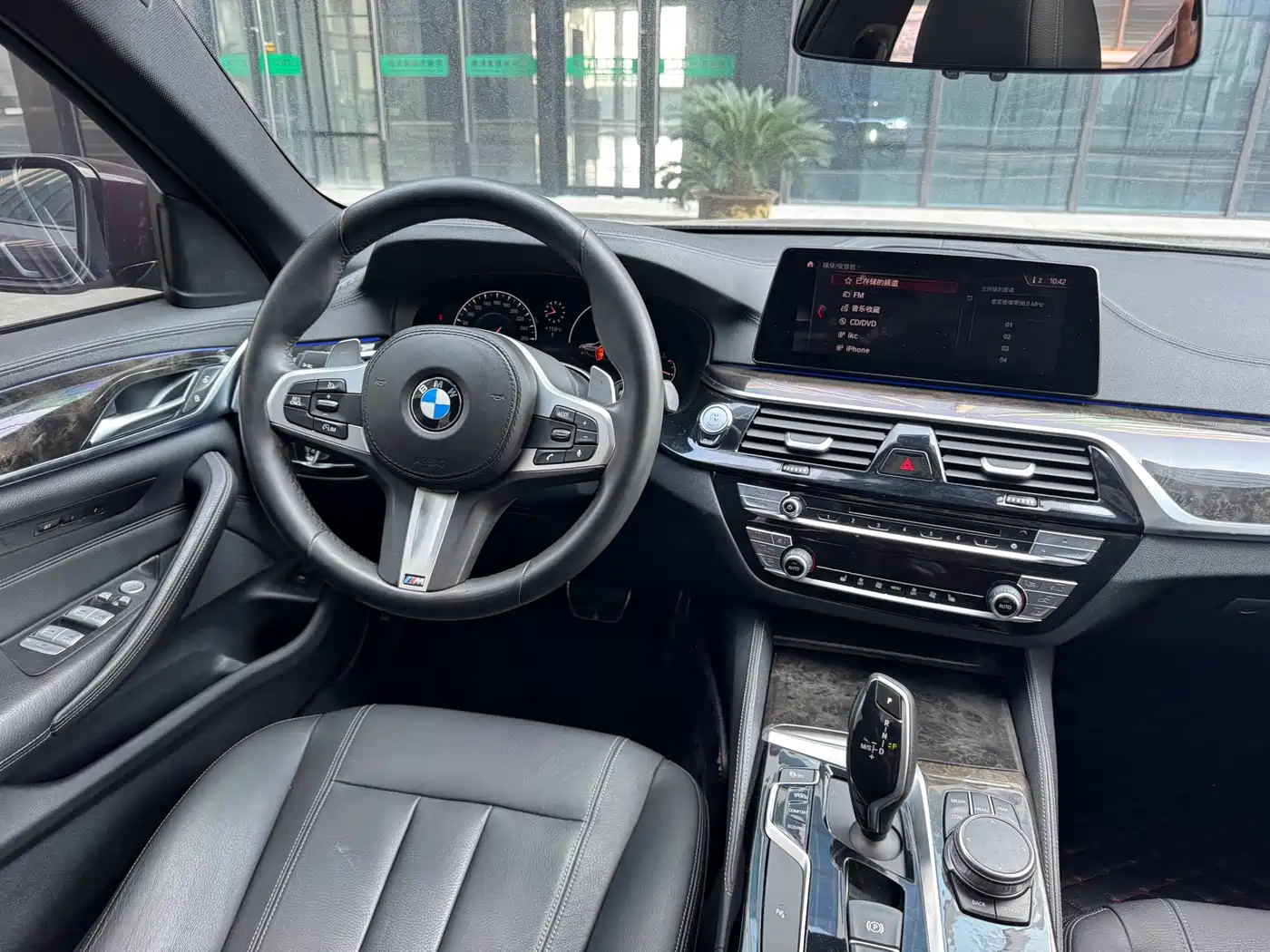 BMW 5 Series 2019 530Li Leading M Sport Package фото 15