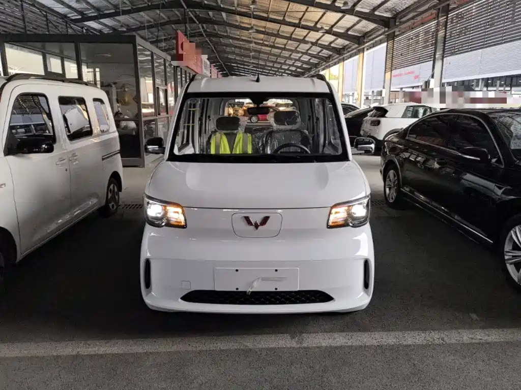 Wuling Motors Wuling Zhiguang NEV 2026 2025 Model 305km Base Version