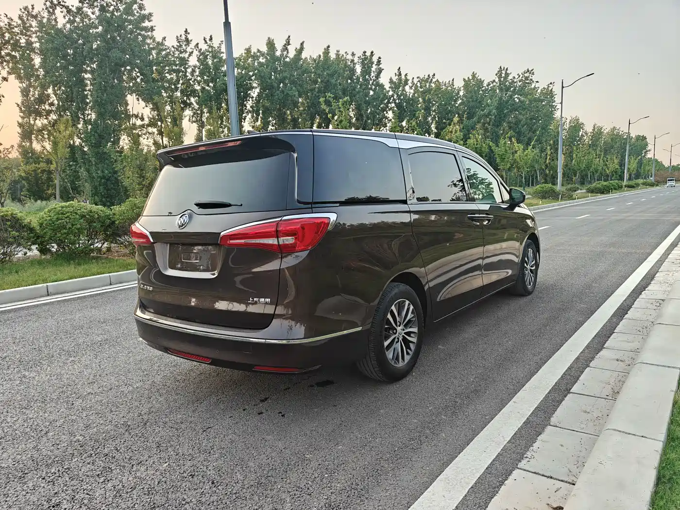 Buick GL8 2017 ES 28T Luxury China V фото 6