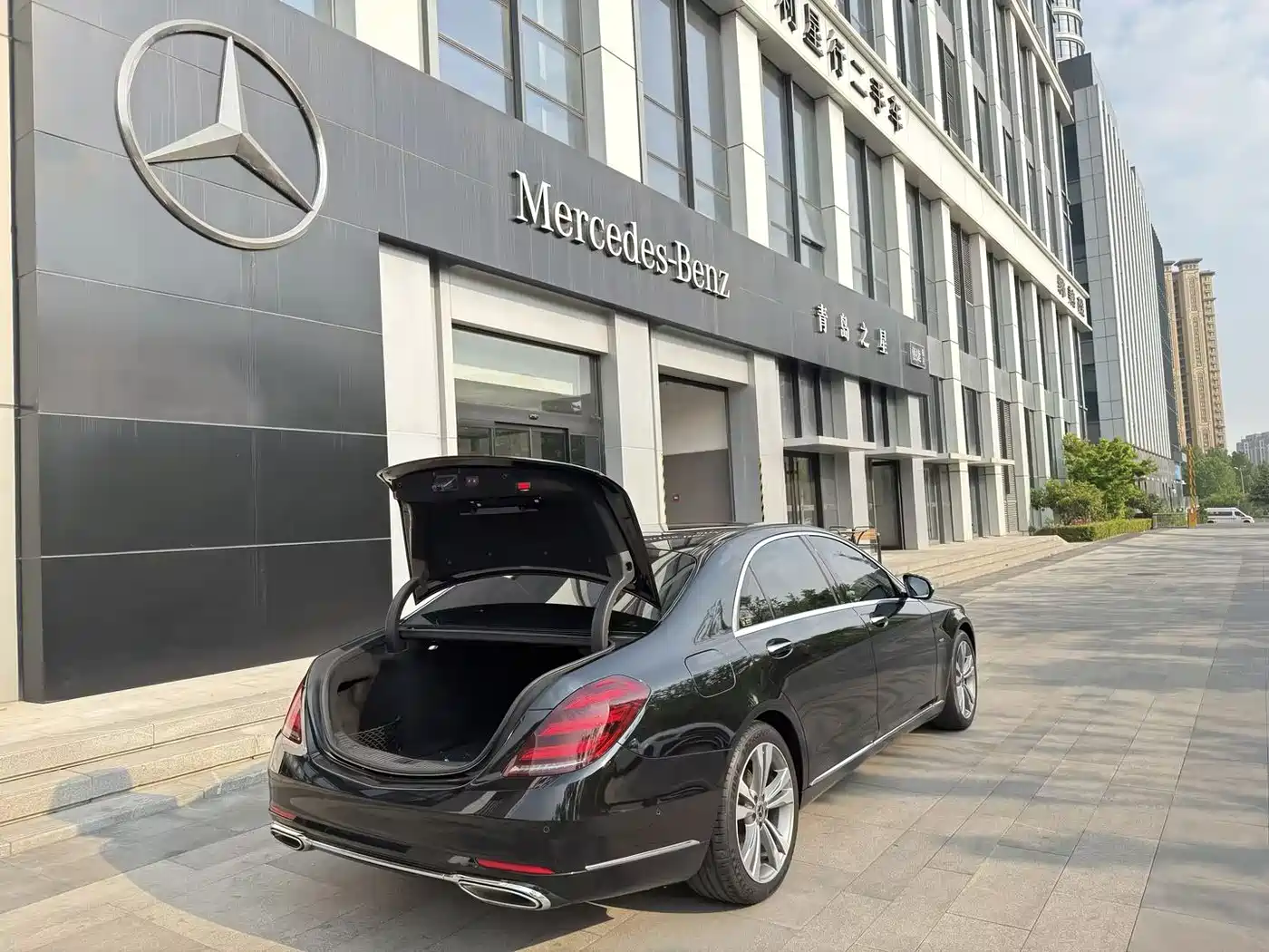 Mercedes-Benz S-Class 2020 S 350 L Premium Edition Collector's Version фото 7