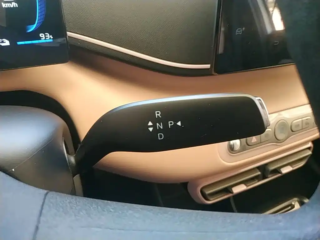 BYD Seagull 2026 2025 Smart Drive Edition 305km Vitality Version