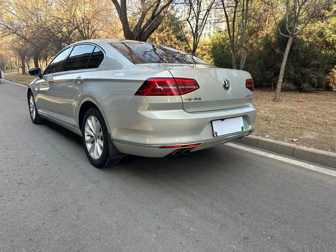 Volkswagen Magotan 2018 330TSI DSG Leading фото 13