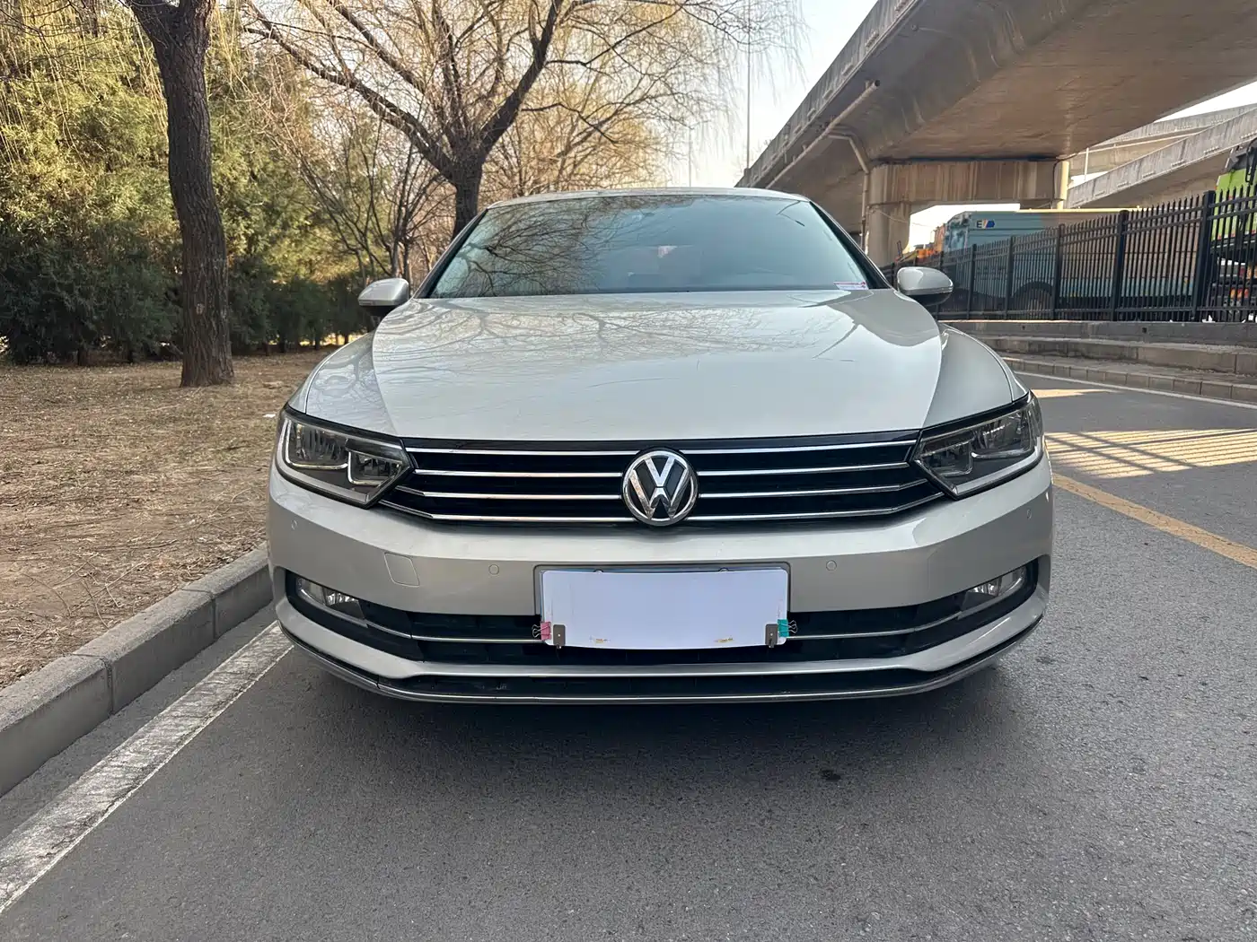 Volkswagen Magotan 2018 330TSI DSG Leading фото 2
