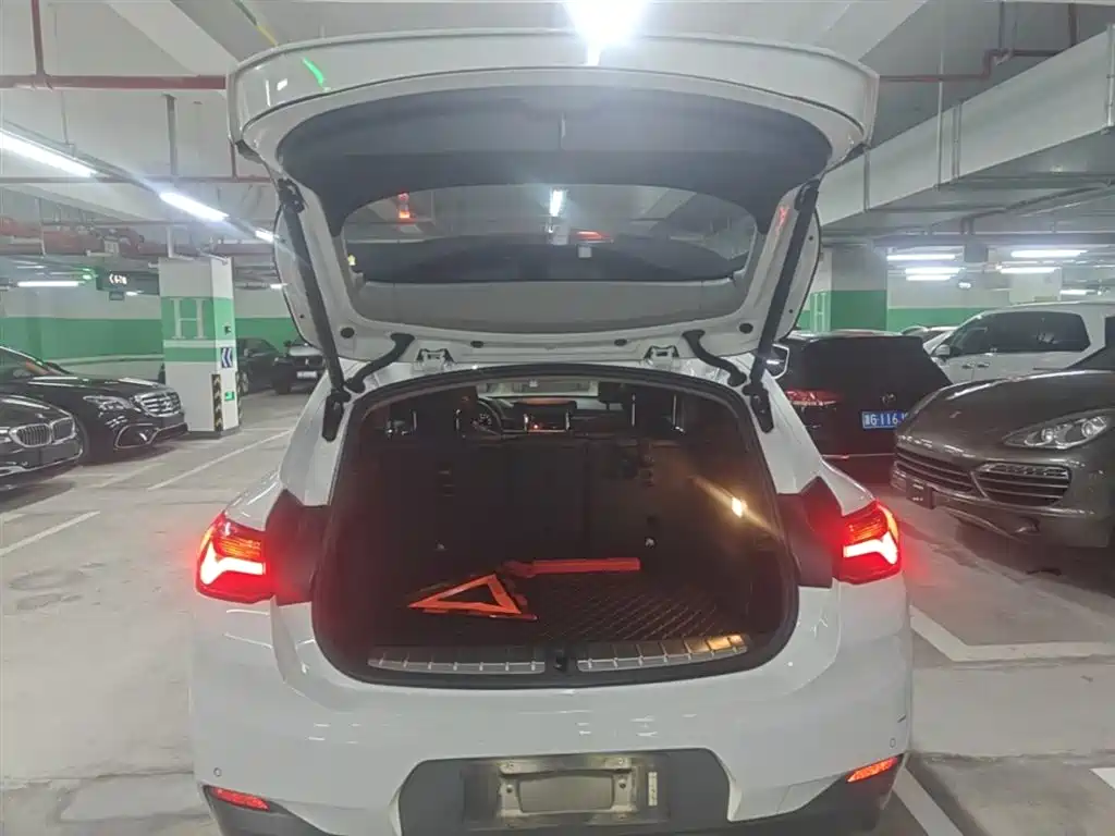 BMW X2 (Import) 2019 sDrive20i M Off-Road Package China VI фото 19