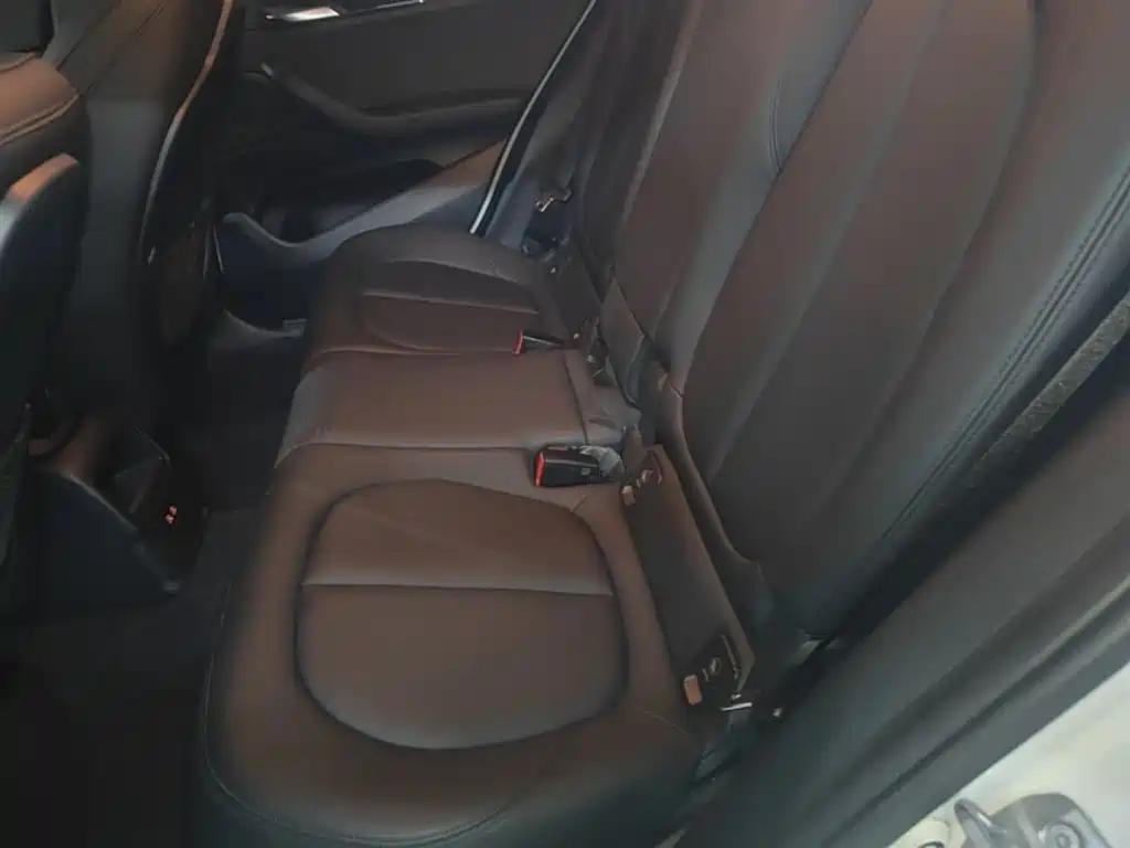 BMW X2 (Import) 2019 sDrive20i M Off-Road Package China VI фото 17