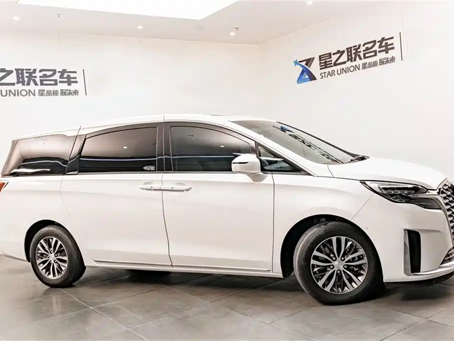 Buick GL8 2023 ES Landmaster Exclusive фото 6