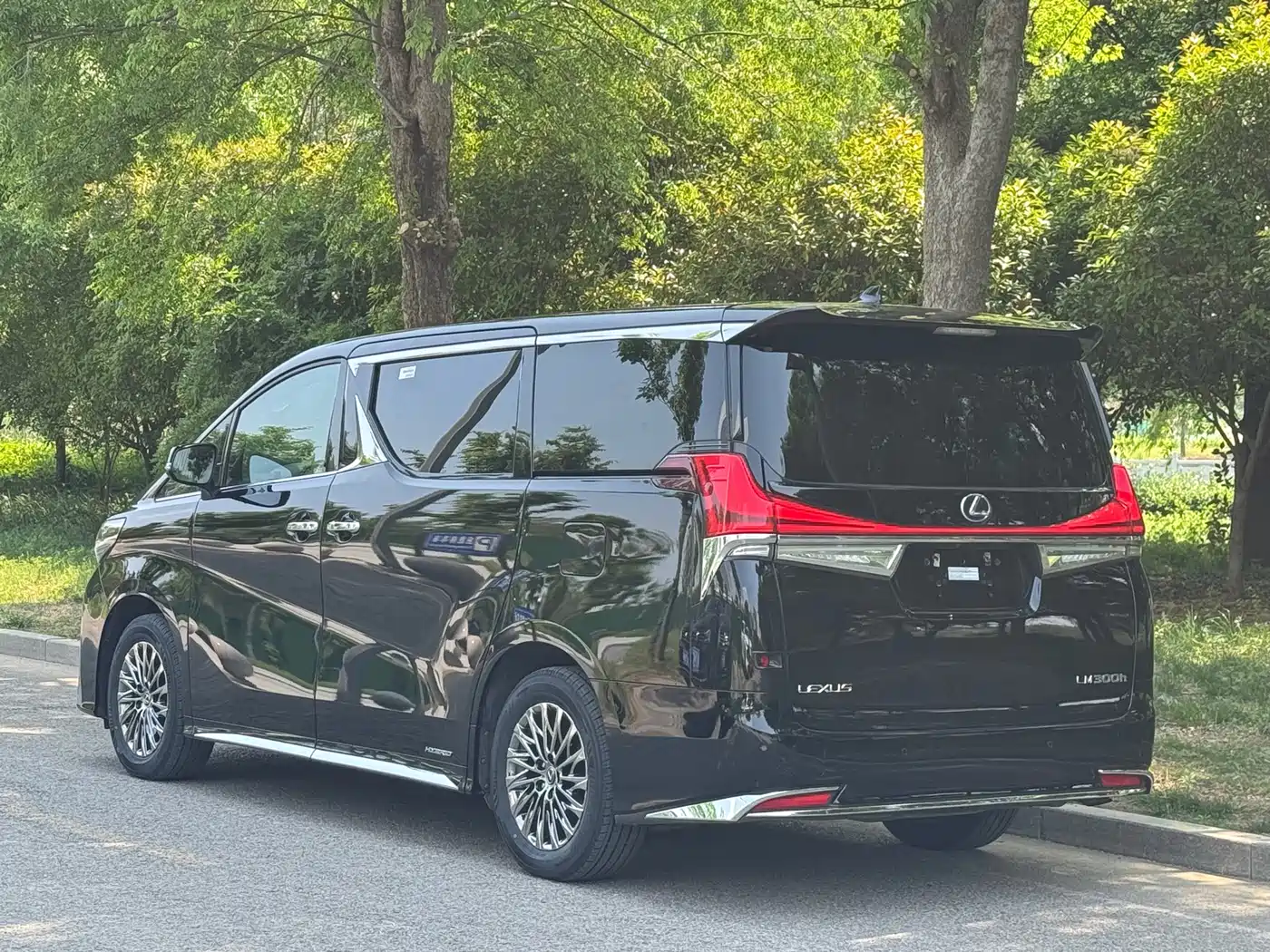 Lexus LM 2020 300h Seven-Seater Elegance Edition фото 14