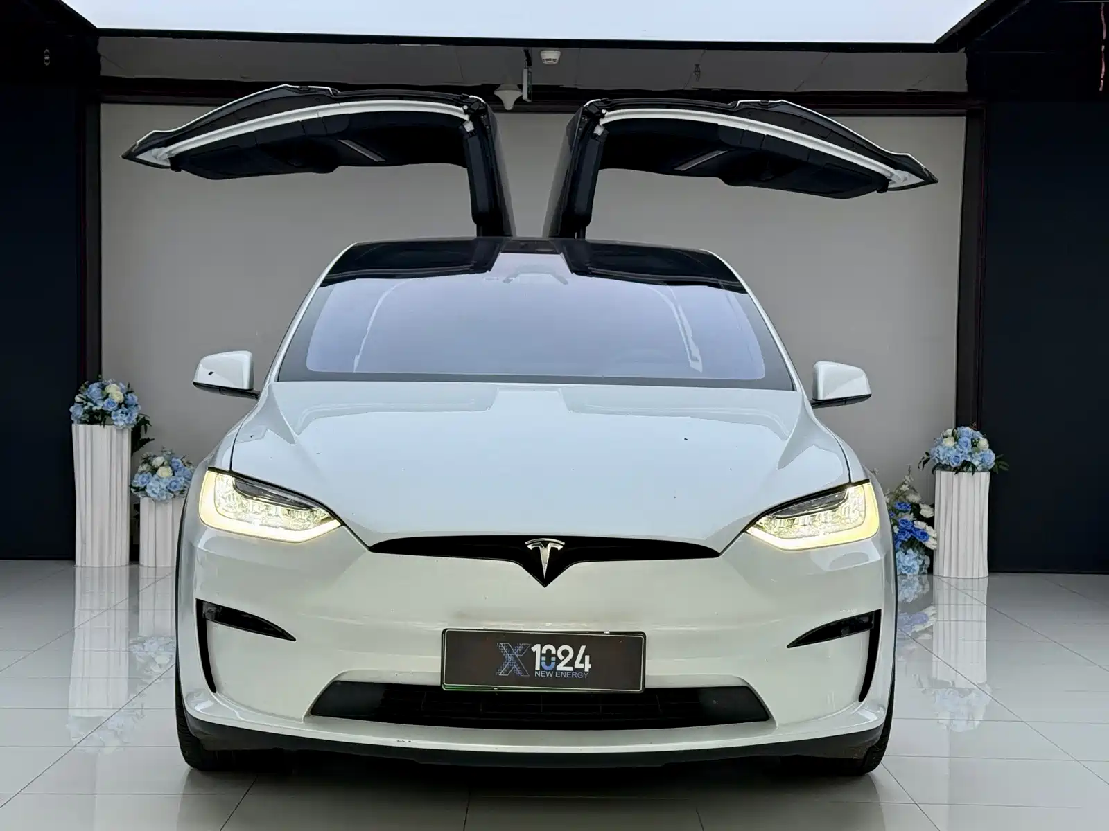 Фото 2 - Tesla Model X