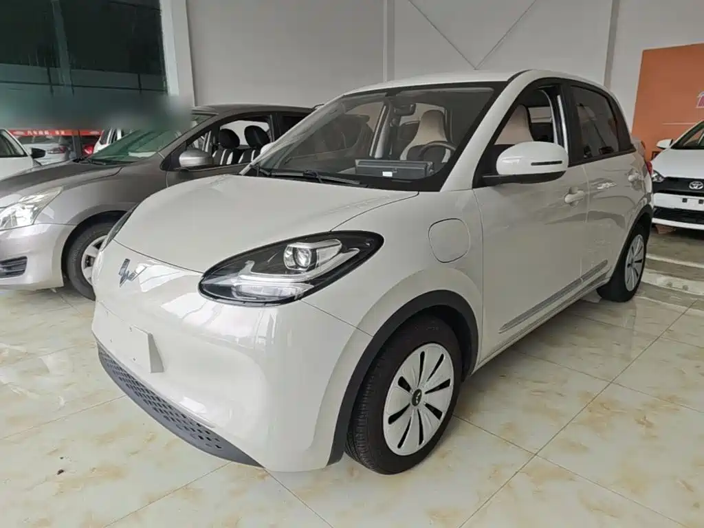 Wuling Motors Wuling Bingo 2023 2023 333km Quick Enjoy Version