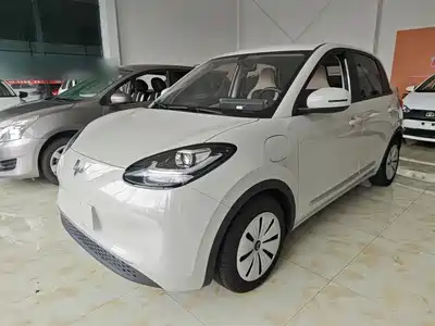 Wuling Bingo