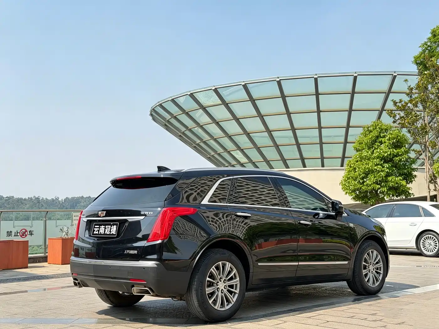 Cadillac XT5 2018 25T Luxury фото 7