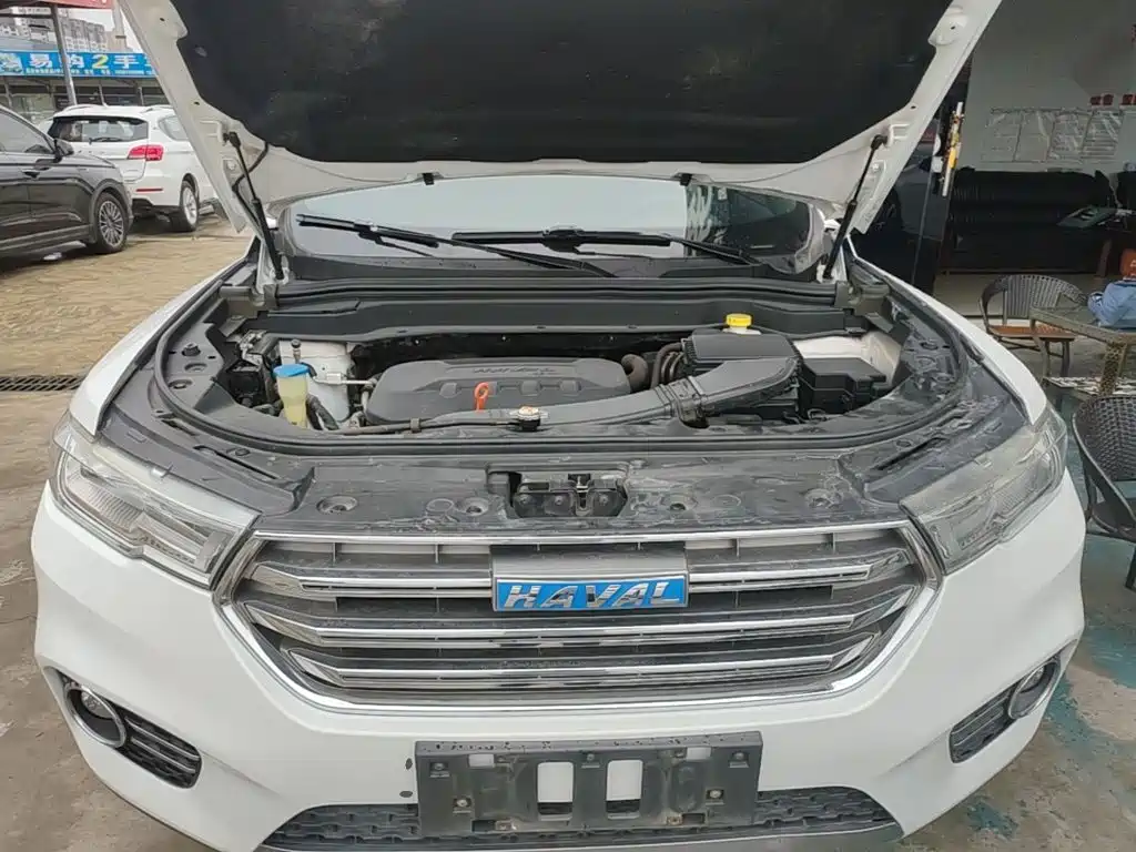 Фото 20 - Haval H6