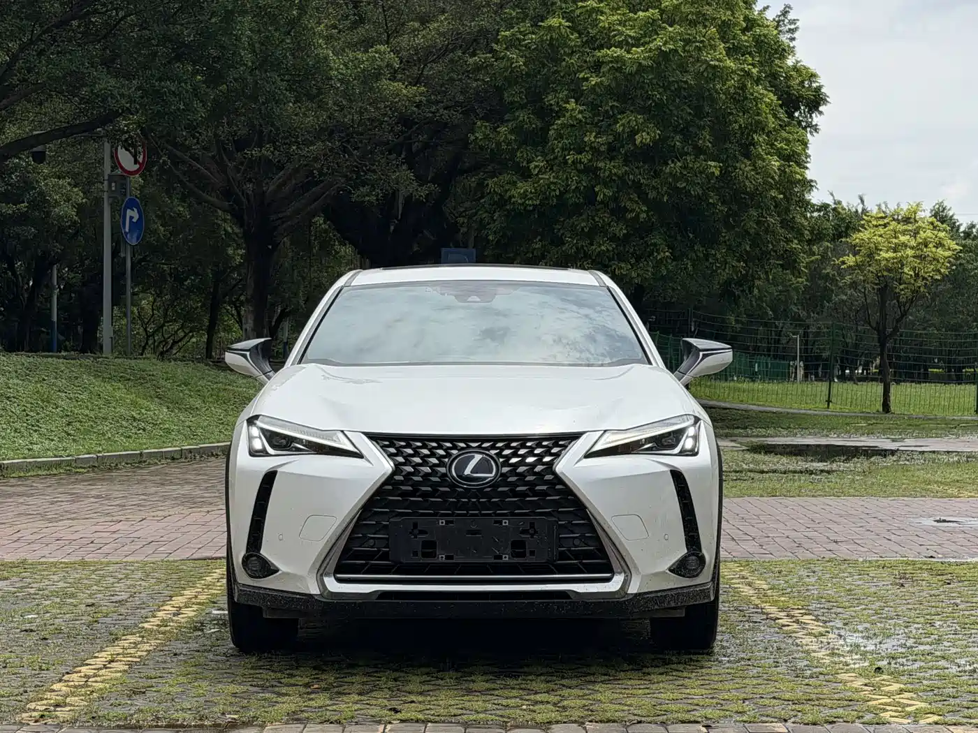 Lexus UX Electric 2023 2020 300e Pure Enjoyment Edition