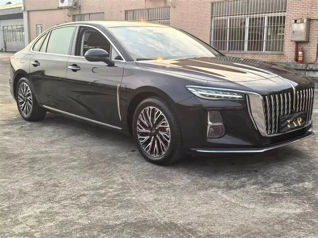 Hongqi H5 2023 2.0T Auto Smart Connect Flag Enjoy фото 3