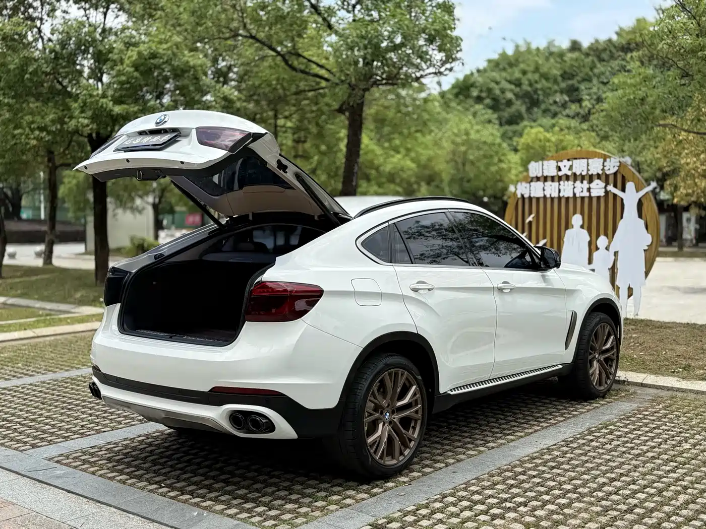 BMW X6 2017 xDrive35i Luxury фото 19
