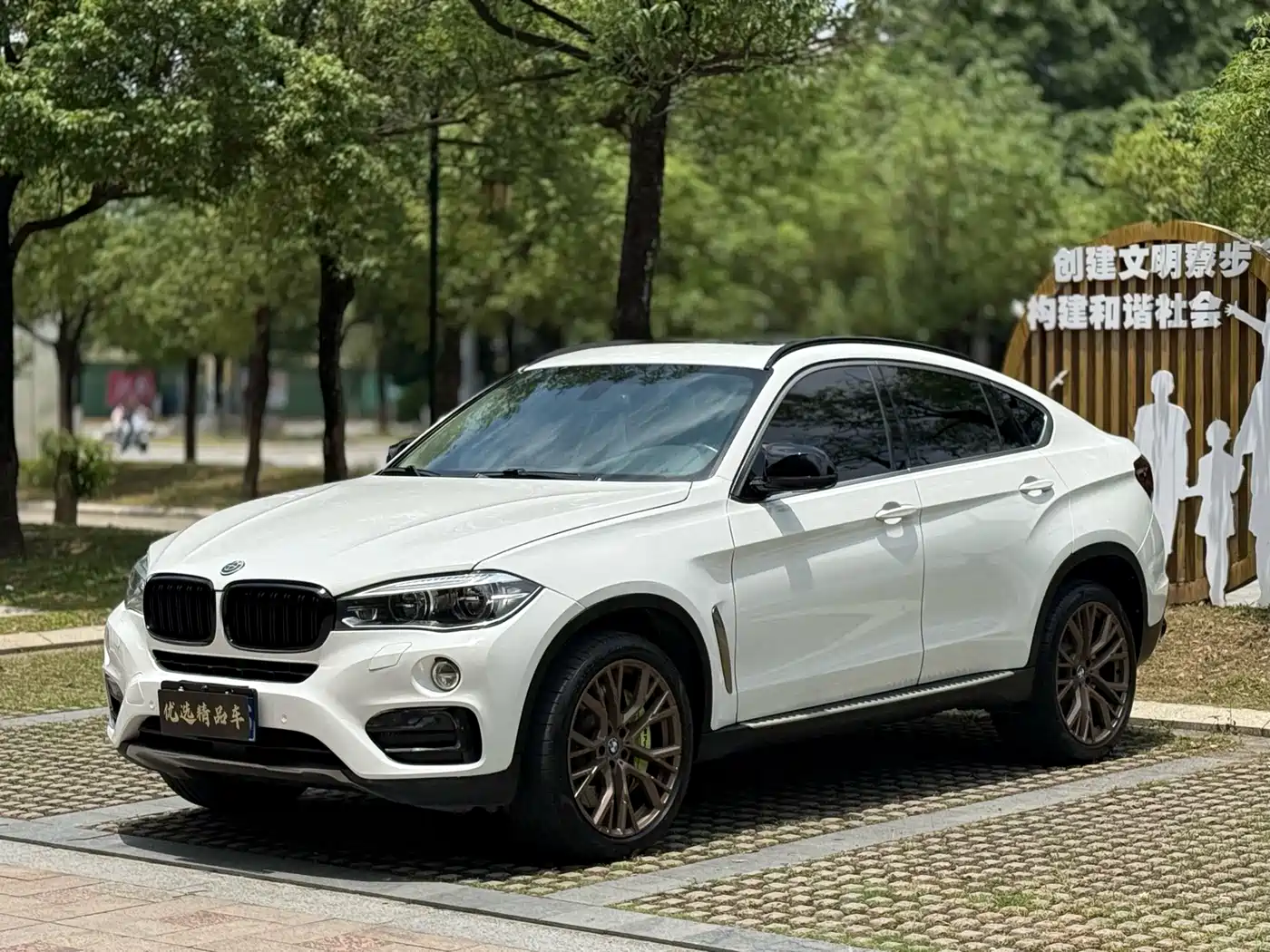 BMW X6 2017 xDrive35i Luxury