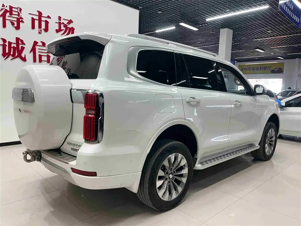 Tank 500 EV 2025 Hi4-Z фото 6