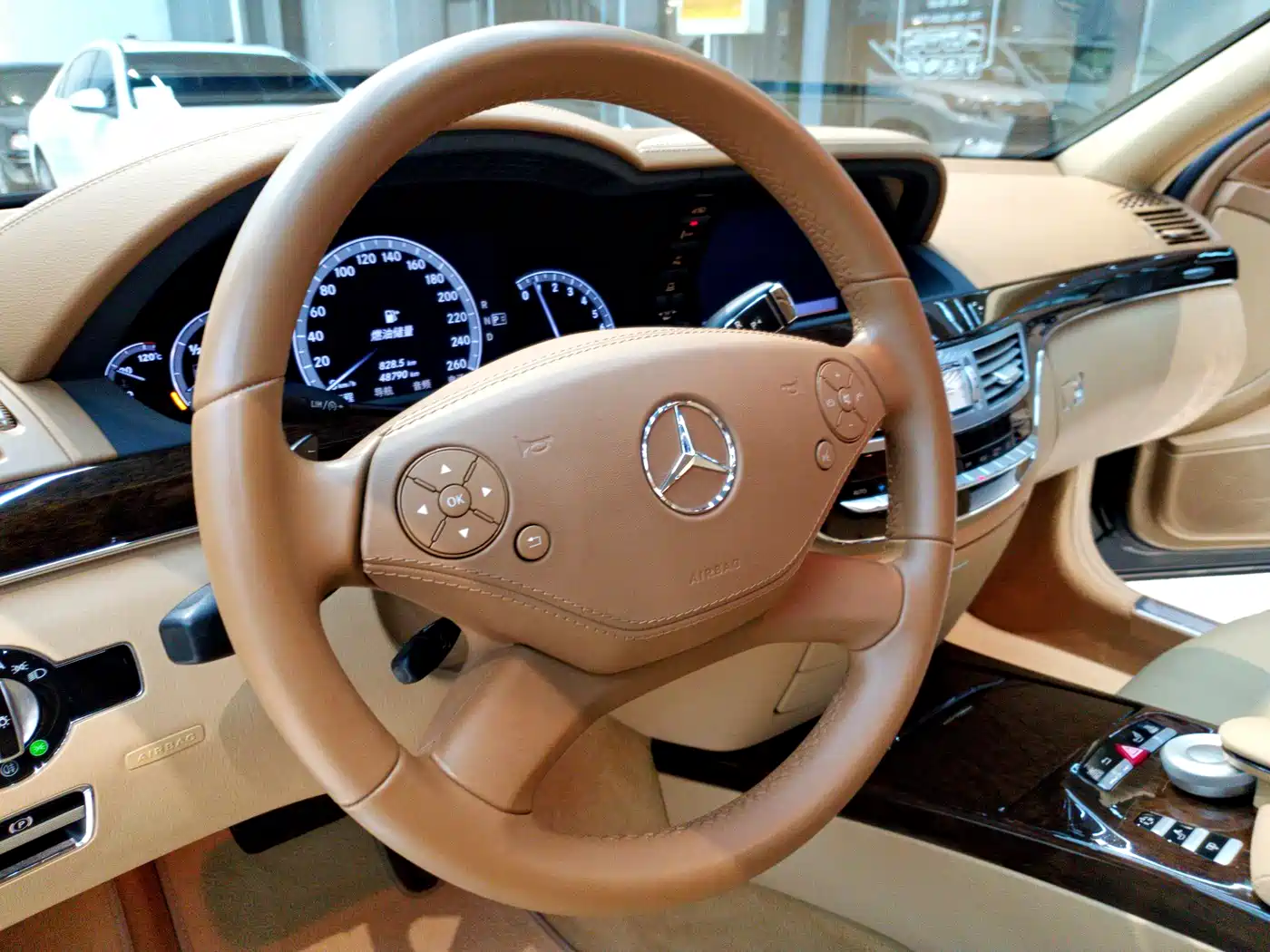 Mercedes-Benz S-Class 2012 S 300 L Premium Grand Edition фото 19