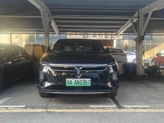 Voyah Auto Voyah Zhiyin 2025