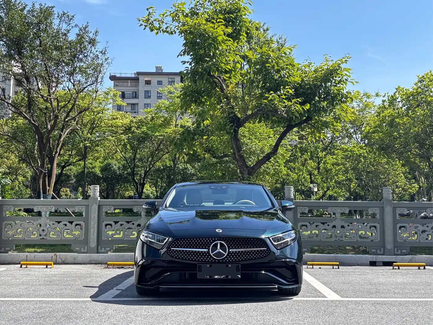 Mercedes-Benz CLS 2022 CLS 300 Luxury фото 2